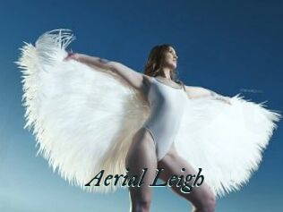 Aerial_Leigh