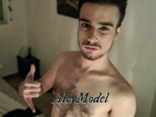 AleyModel