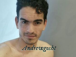 Andrewgosht