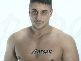 Antoan