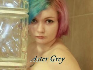 Aster_Grey