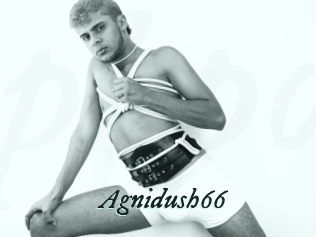 Agnidush66