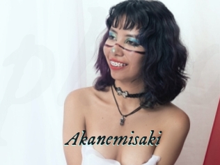 Akanemisaki