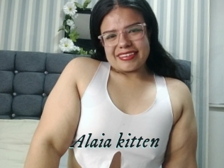 Alaia_kitten