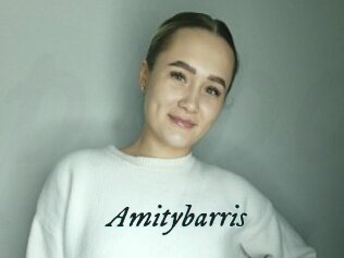 Amitybarris