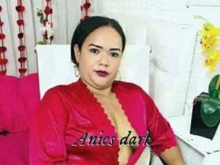 Anies_dark