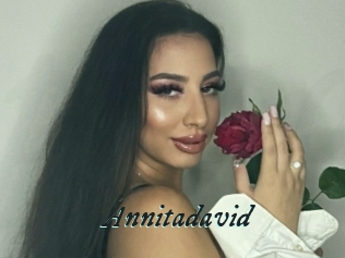 Annitadavid