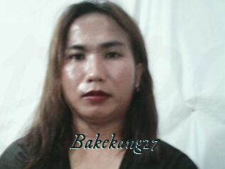 Bakekang27