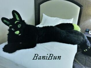 BaniBun