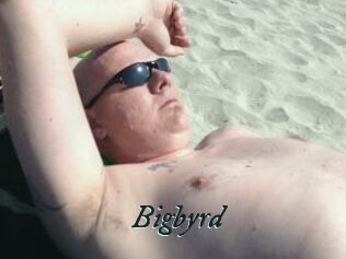 Bigbyrd