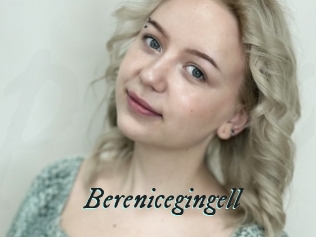 Berenicegingell