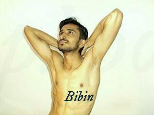 Bibin