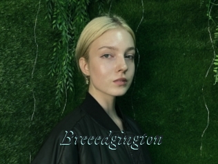 Breeedgington