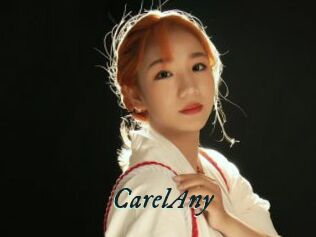 CarelAny