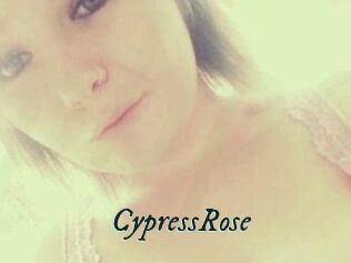 Cypress_Rose