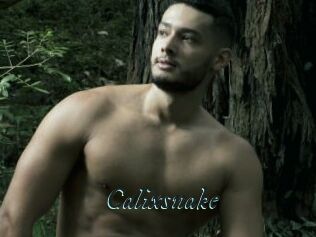 Calixsnake