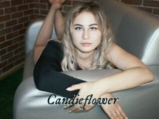 Candieflower