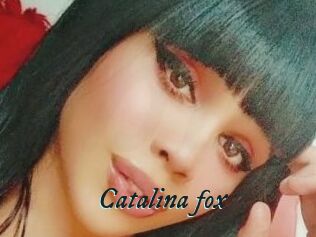 Catalina_fox