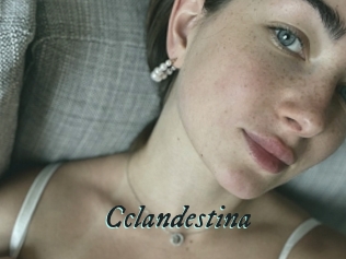 Cclandestina