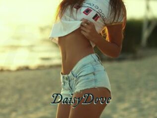 DaisyDove