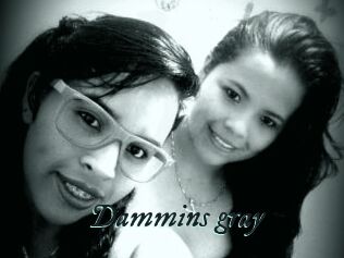 Dammins_gray