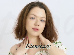 Elenecaris