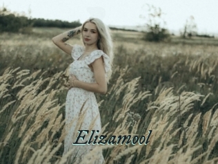 Elizamool