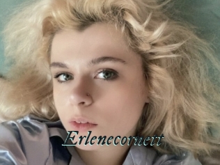 Erlenecornett