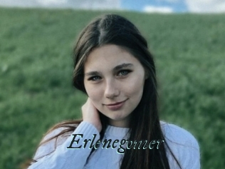 Erlenegomer