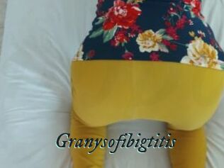 Granysofibigtitis