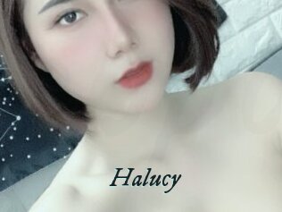 Halucy