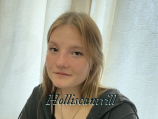 Holliscantrill