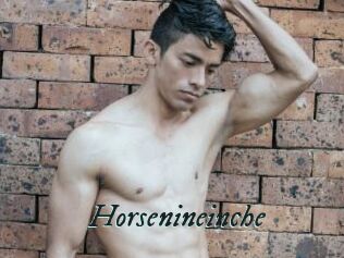 Horsenineinche