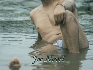 Joe_Novel