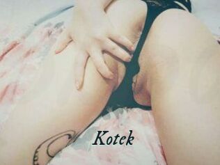 Kotek