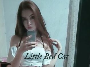 Little_Red_Cat