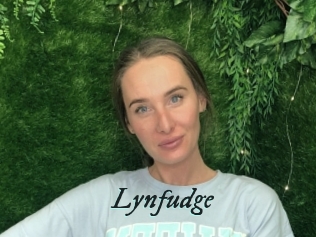 Lynfudge