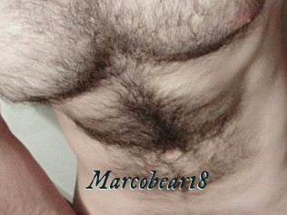 Marcobear18