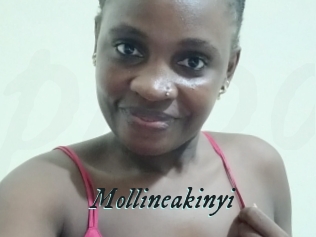 Mollineakinyi