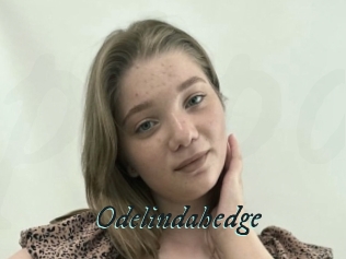 Odelindahedge