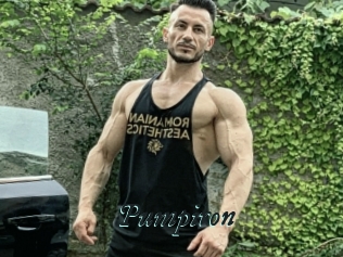 Pumpiron