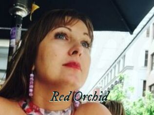 Red_Orchid