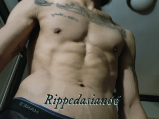 Rippedasian66