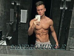 SANDRO_MUSCLE