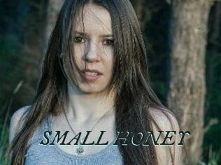 SMALL_HONEY