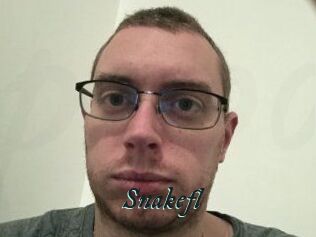 Snakefl