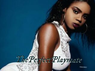 ThePerfectPlaymate