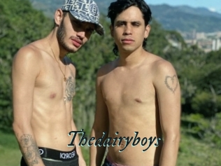 Thedairyboys