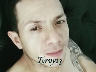Torvy23
