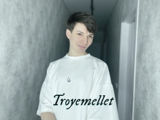 Troyemellet